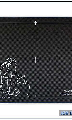 Detector DR	 Detector DR